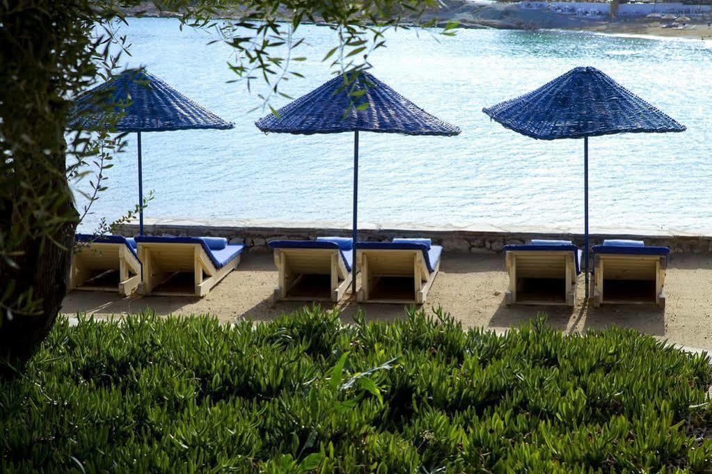 Maya Bistro Hotel & Beach Сигаджик Экстерьер фото